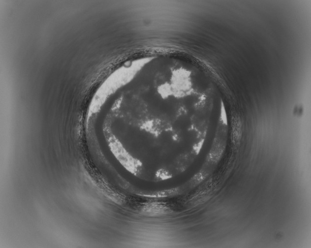 X0000113980451200911131059