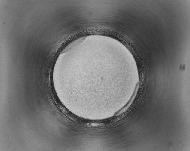 X0000113980452200911131059