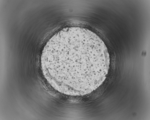 X0000113980453200911131059