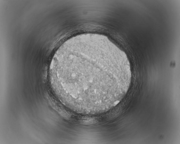 X0000113980454200911131059
