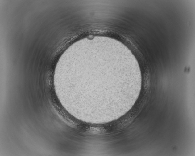 X0000113980455200911131059