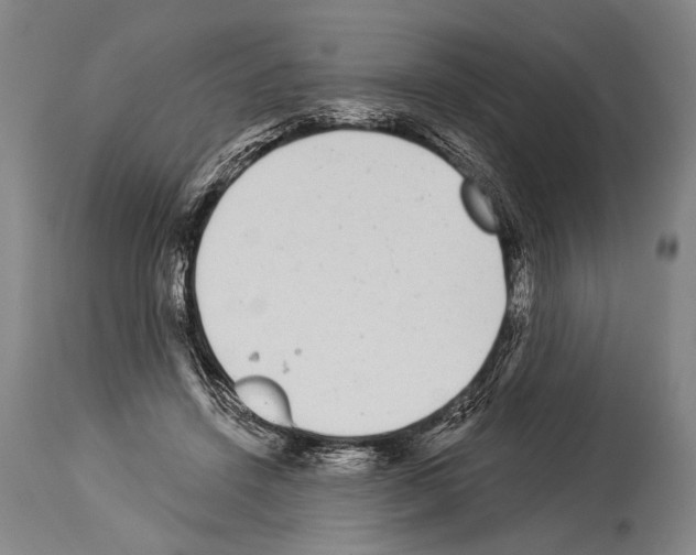 X0000113980456200911131059