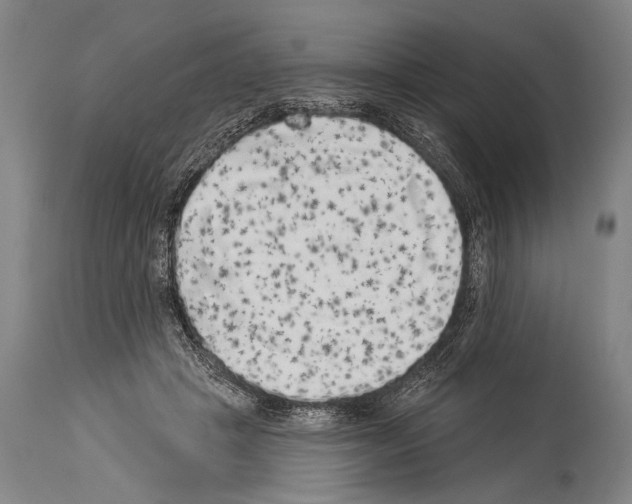 X0000113980457200911131059
