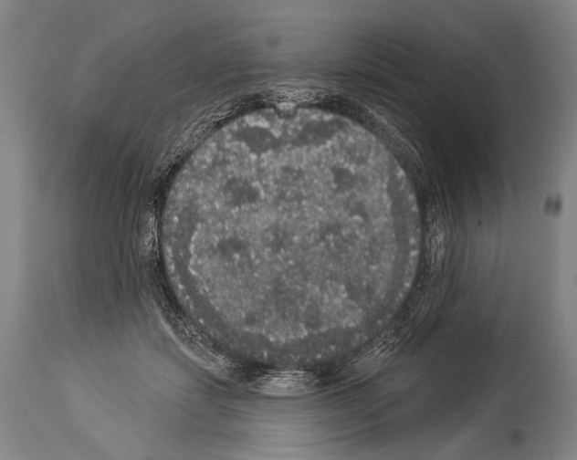 X0000113980459200911131059