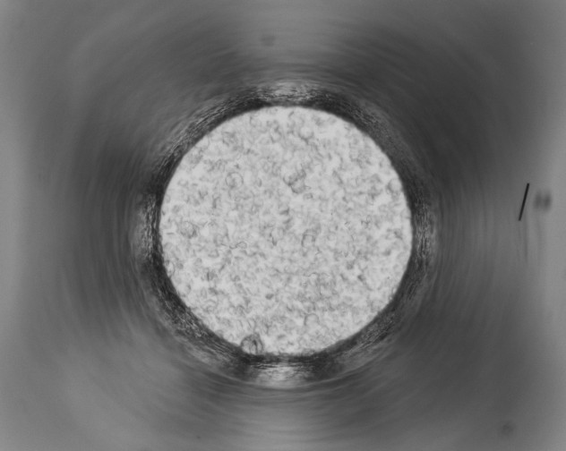 X0000113980460200911131059