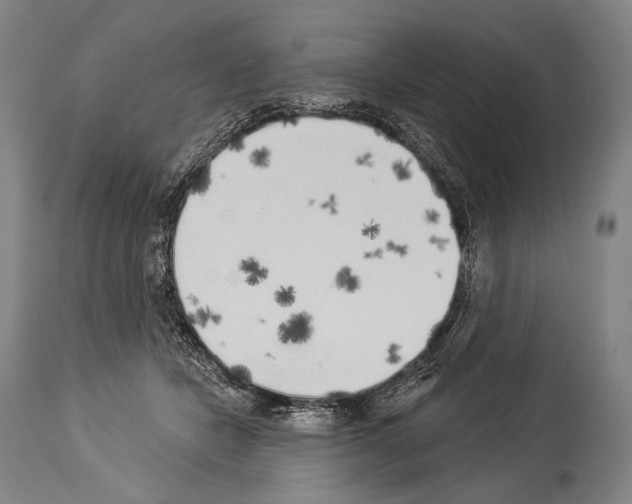 X0000113980462200911131059