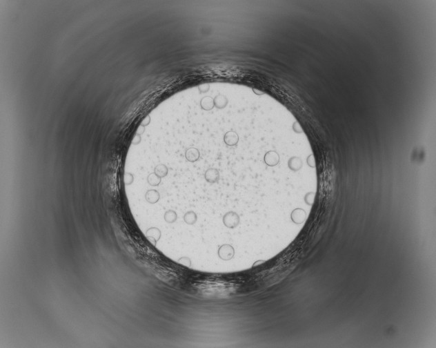 X0000113980464200911131059