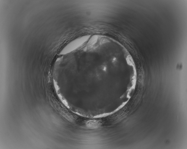 X0000113980465200911131059