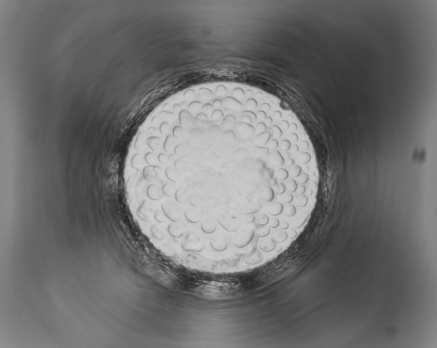 X0000113980466200911131059