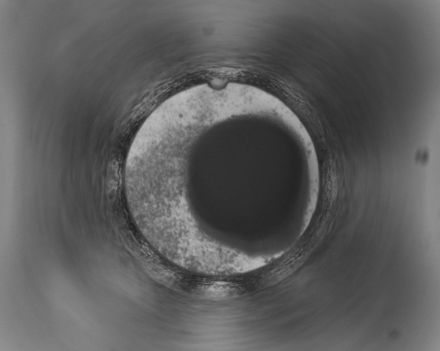 X0000113980467200911131059