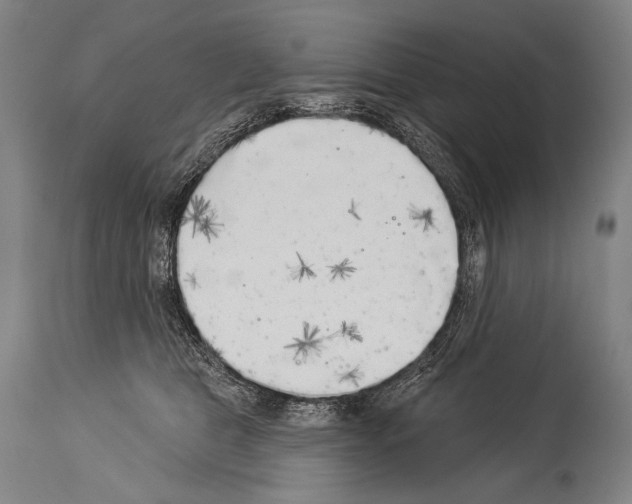 X0000113980469200911131059