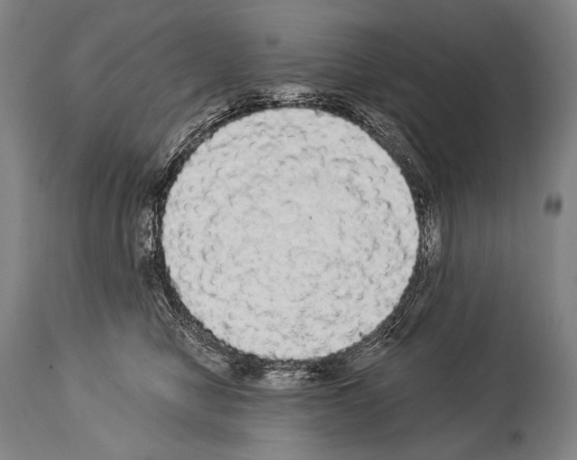 X0000113980470200911131059