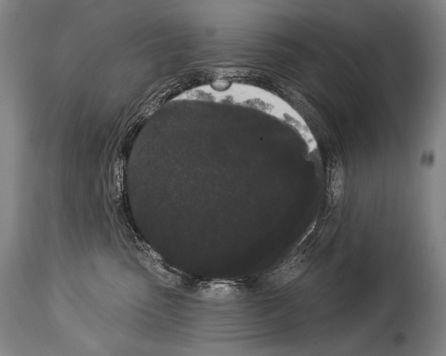 X0000113980475200911131059