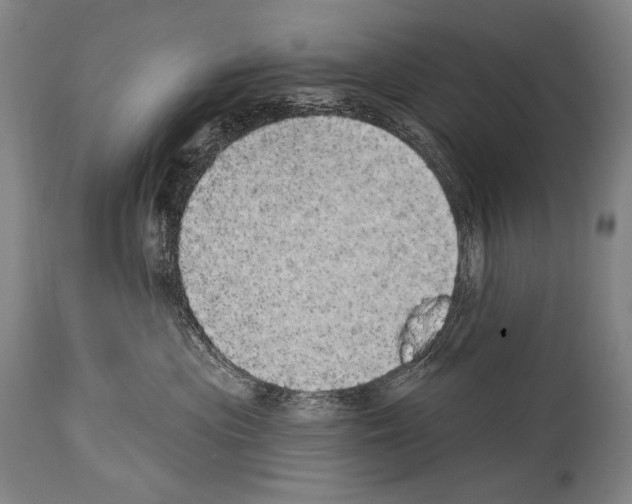 X0000113980477200911131059