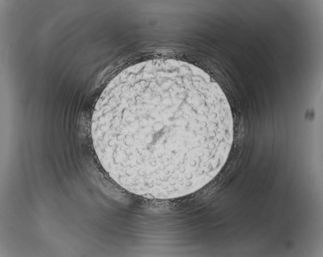 X0000113980478200911131059