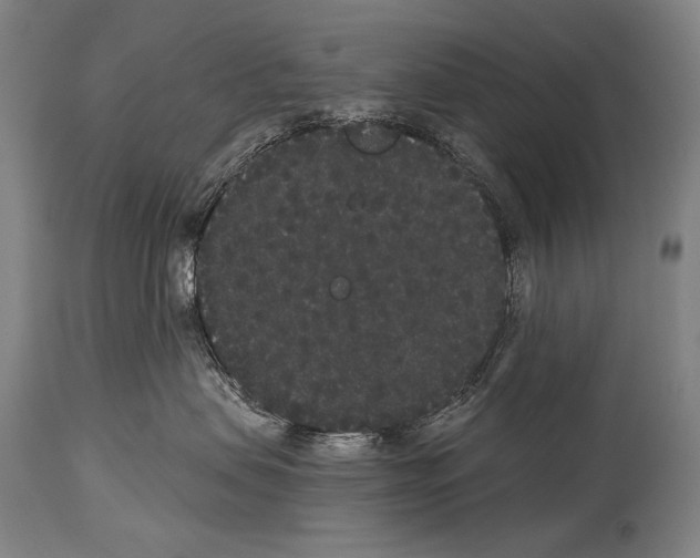 X0000113980479200911131059