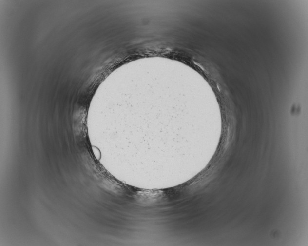 X0000113980480200911131059