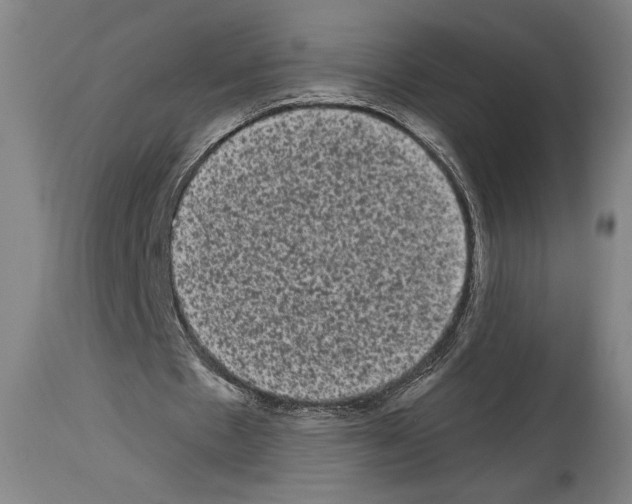 X0000113980481200911131059