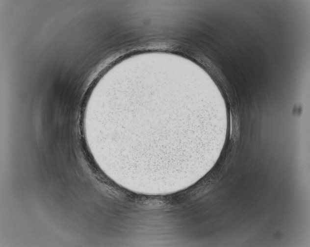 X0000113980483200911131059