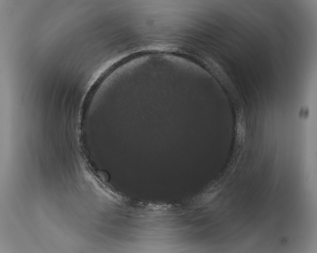 X0000113980484200911131059