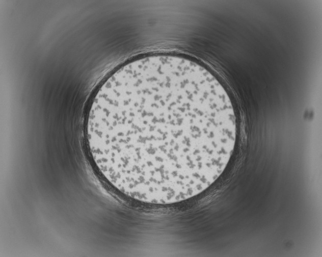 X0000113980485200911131059
