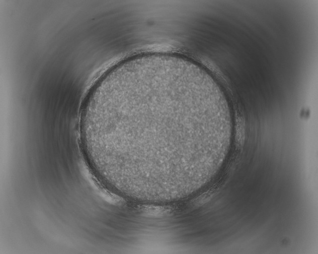 X0000113980486200911131059