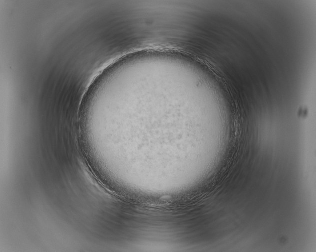 X0000113980488200911131059