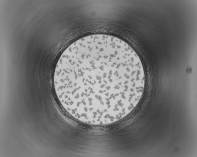 X0000113980489200911131058