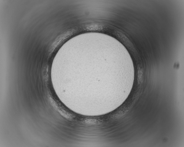 X0000113980490200911131058