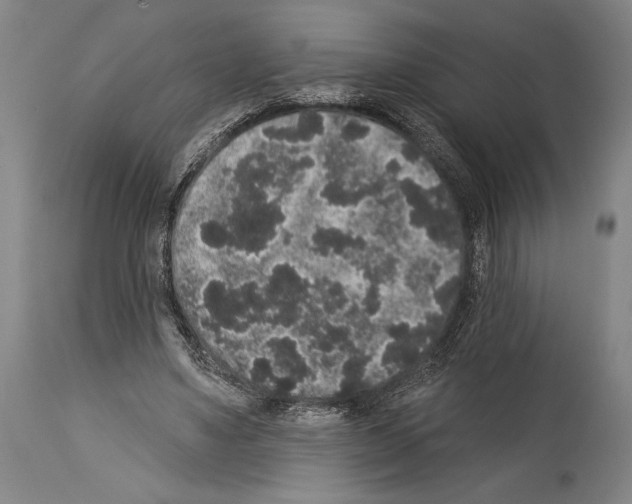 X0000113980491200911131058
