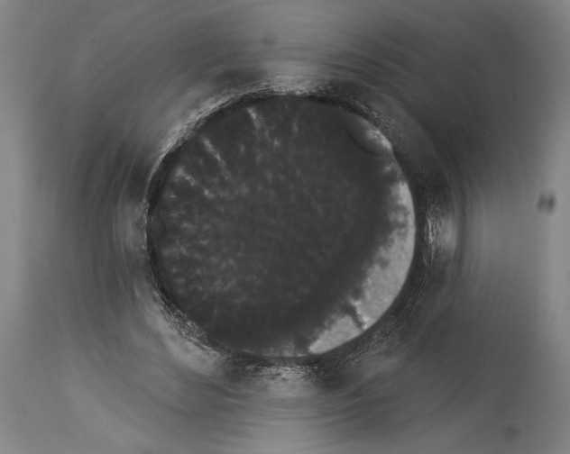 X0000113980492200911131058