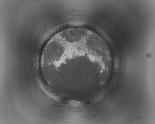 X0000113980494200911131058