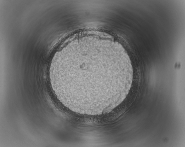X0000113980495200911131058