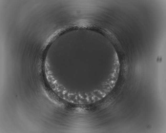X0000113980496200911131058