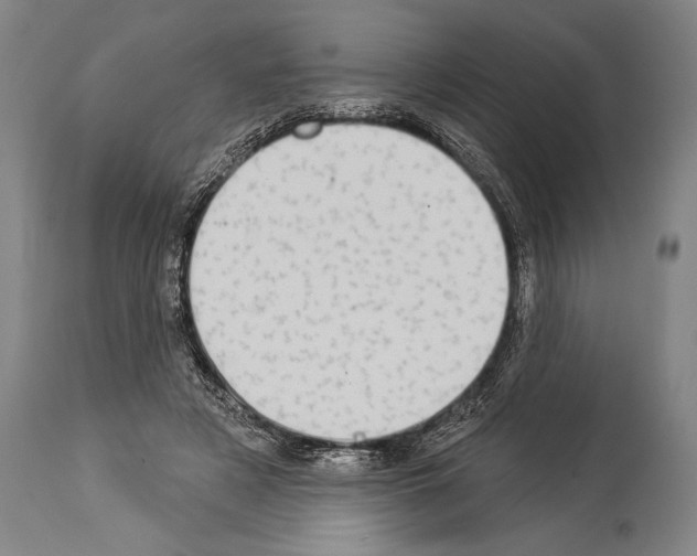 X0000113980497200911131058