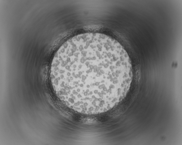 X0000113980498200911131058