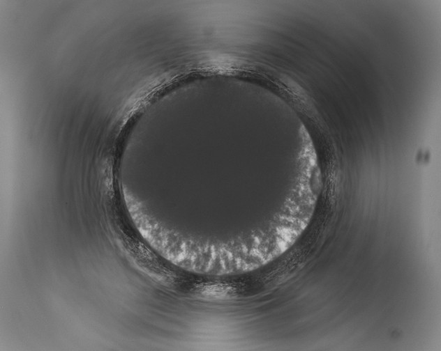 X0000113980500200911131058