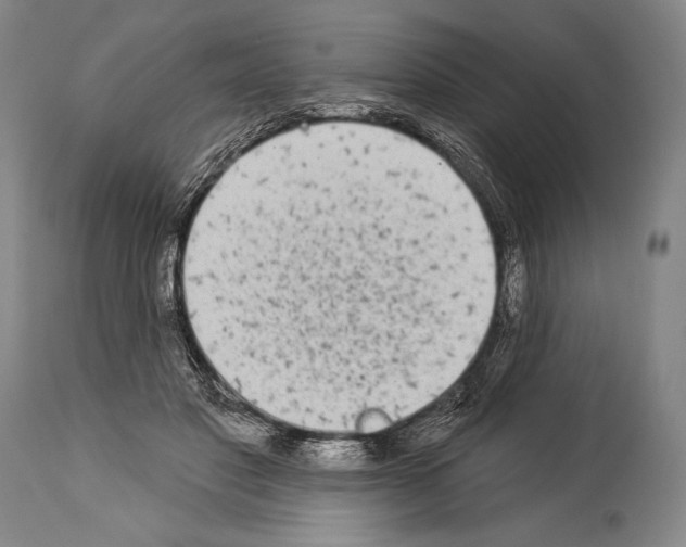 X0000113980501200911131058