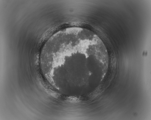 X0000113980502200911131058