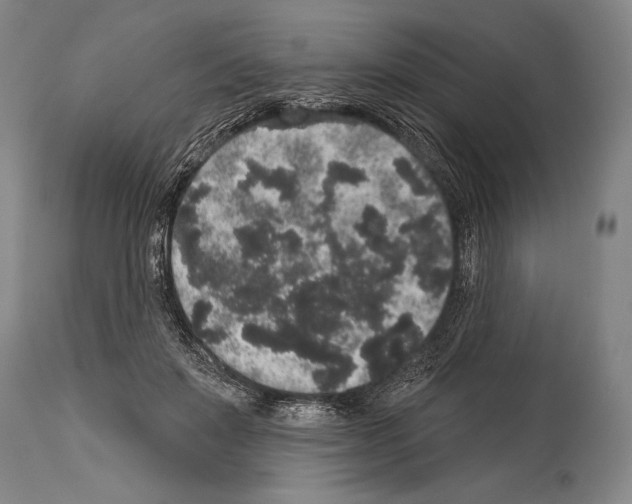 X0000113980503200911131058