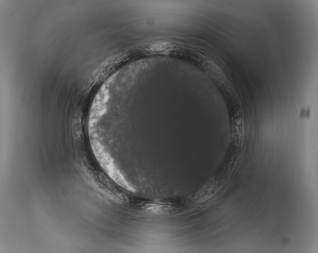 X0000113980504200911131058