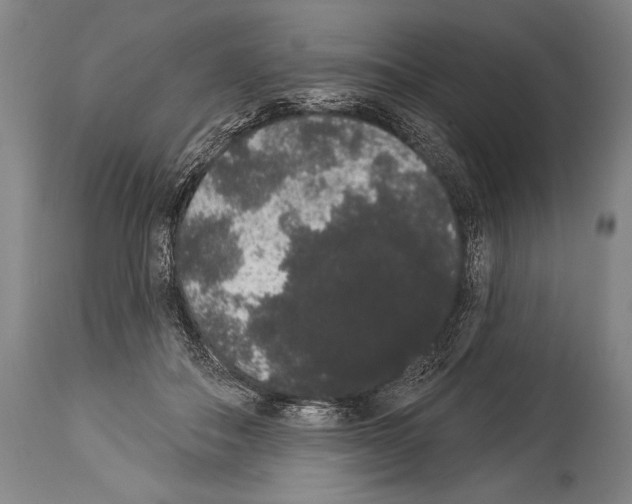 X0000113980506200911131058