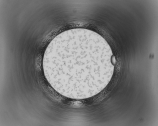 X0000113980509200911131058