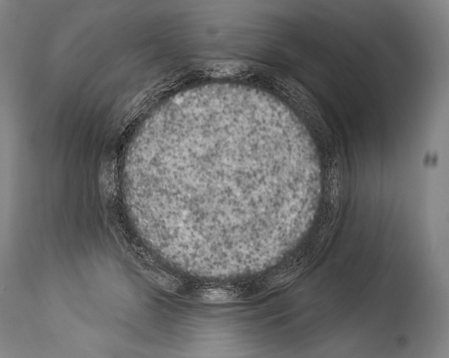 X0000113980510200911131058