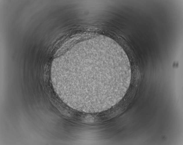 X0000113980511200911131058