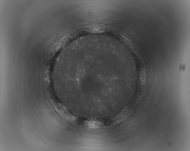 X0000113980512200911131058