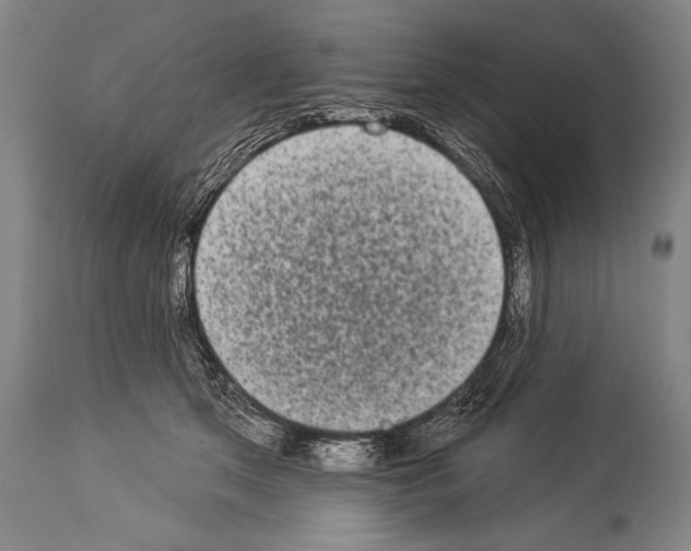 X0000113980513200911131058