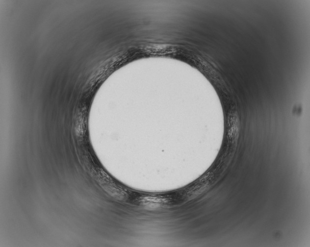 X0000113980515200911131058