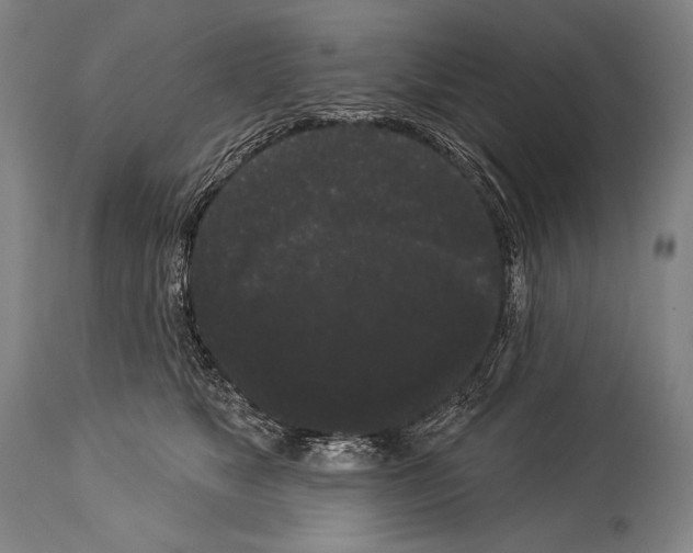 X0000113980517200911131058
