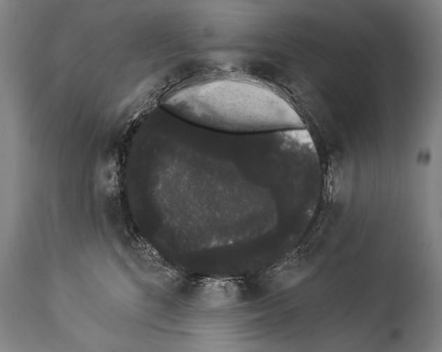 X0000113980520200911131058